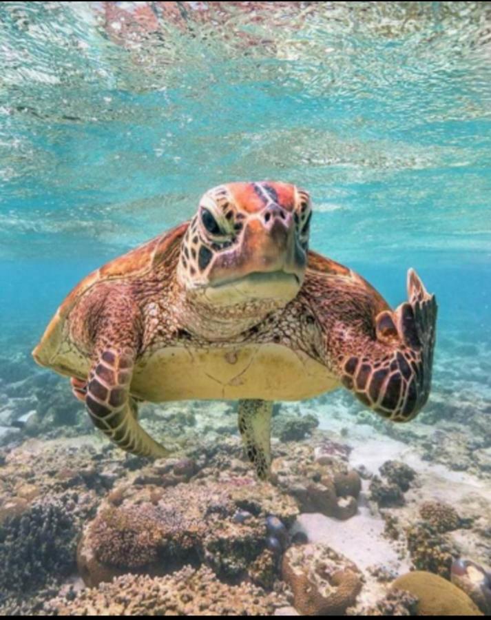 Seaview Pozo Izquierdoヴィラ エクステリア 写真
